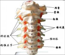 让颈椎更轻松的10种运动